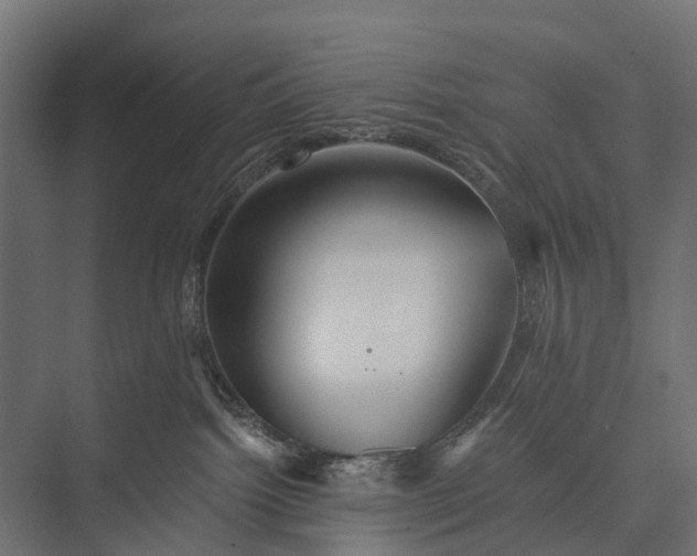 X0000076060092200610061547