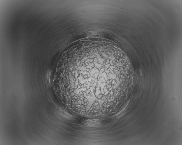 X0000076060094200610061547