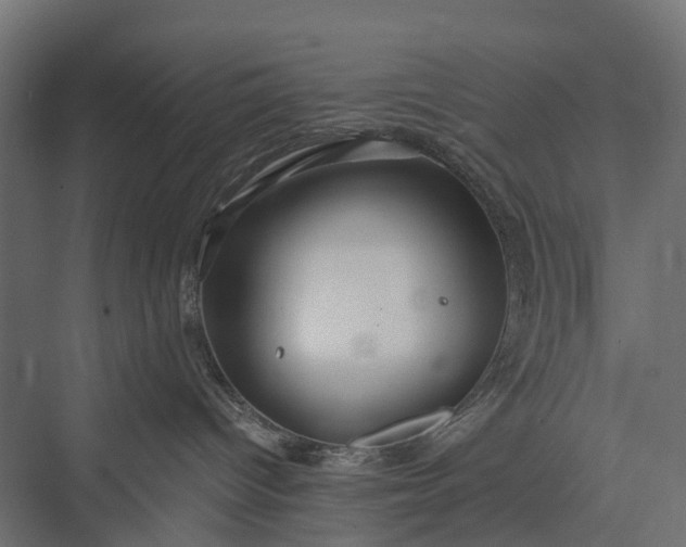 X0000076060096200610061547