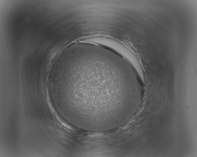 X0000076060097200610061546