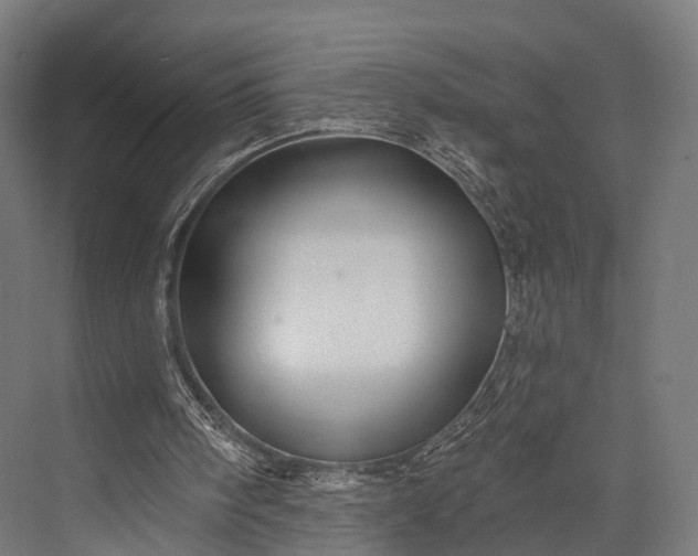 X0000076060098200610061546