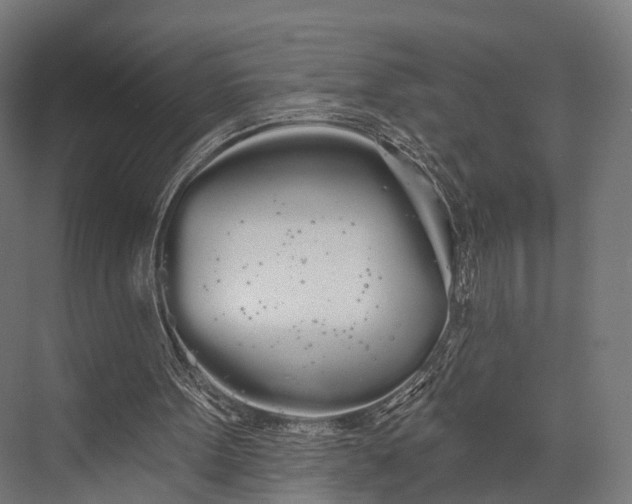 X0000076060099200610061546