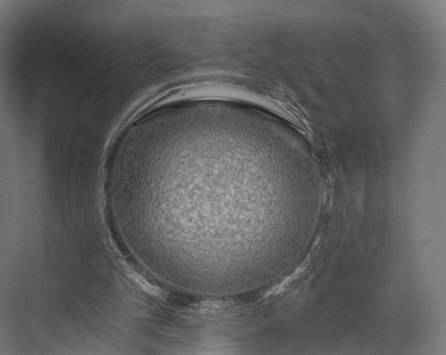 X0000076060101200610061546