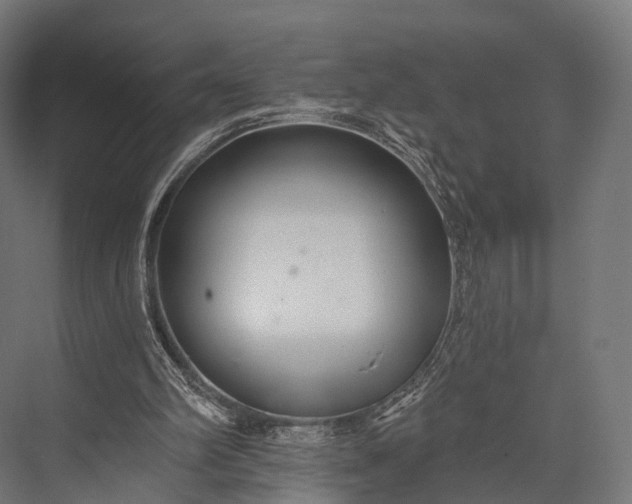 X0000076060102200610061546