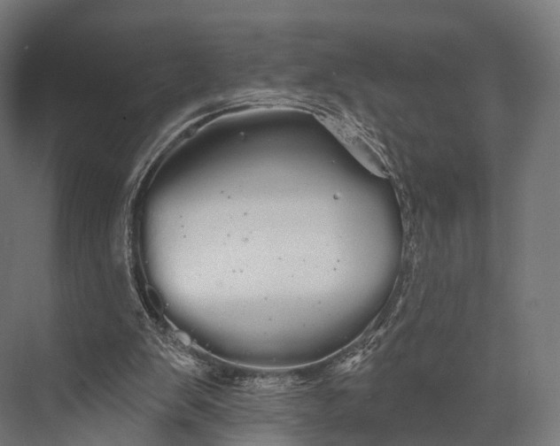 X0000076060103200610061546