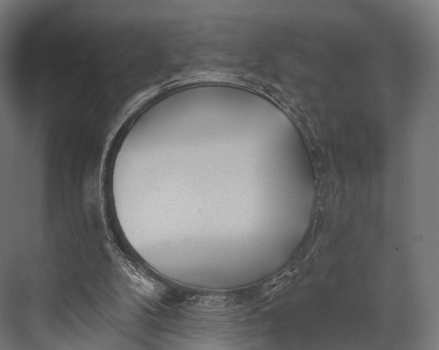 X0000076060104200610061546