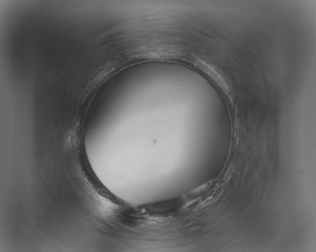 X0000076060105200610061546