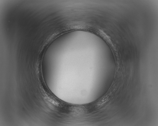 X0000076060106200610061546