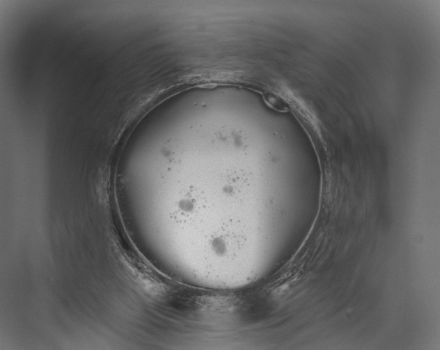 X0000076060107200610061546