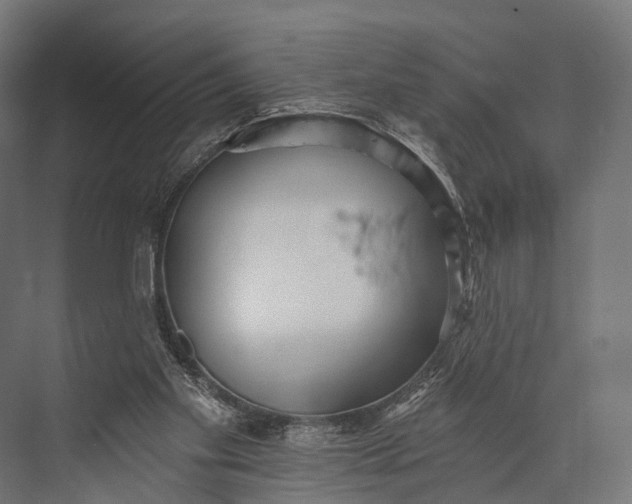 X0000076060109200610061546