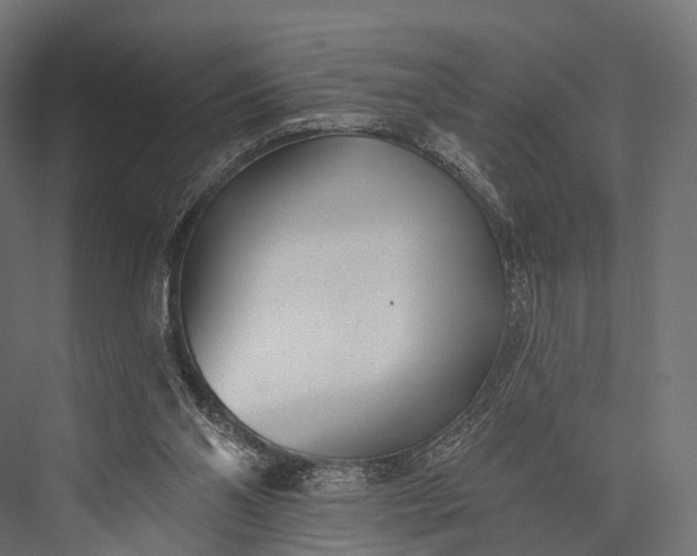 X0000076060110200610061546