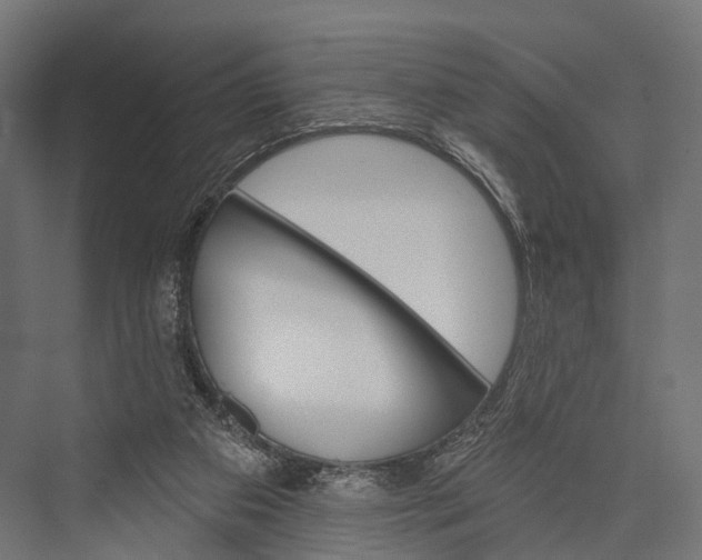 X0000076060113200610061546