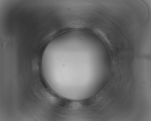 X0000076060114200610061546