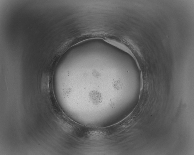 X0000076060115200610061546