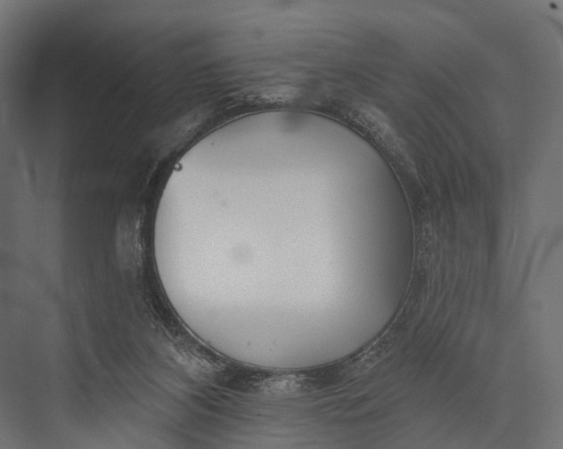 X0000076060116200610061546