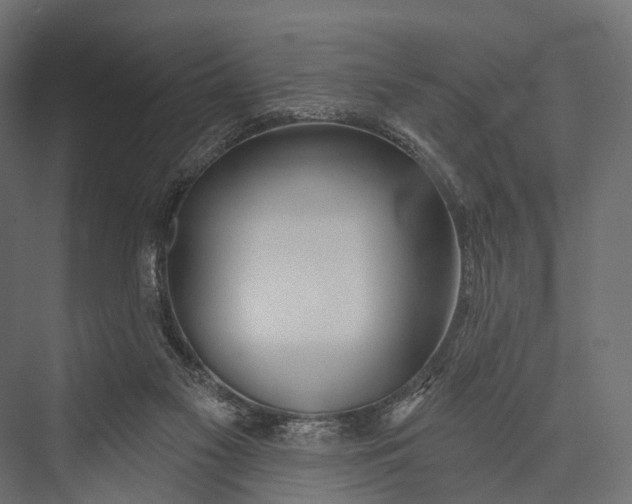 X0000076060117200610061546