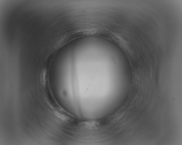 X0000076060118200610061546