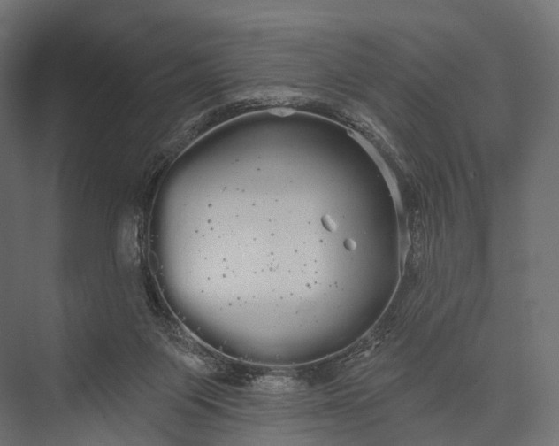 X0000076060119200610061546