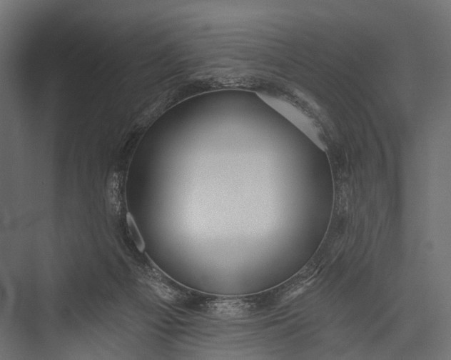 X0000076060121200610061546