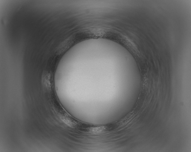 X0000076060122200610061546