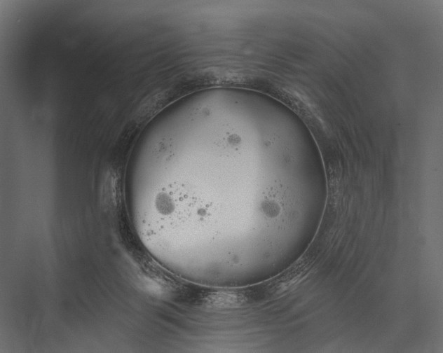 X0000076060123200610061546