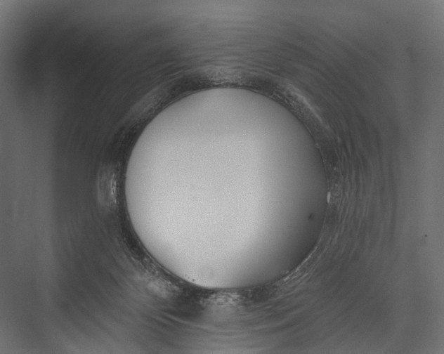 X0000076060124200610061546