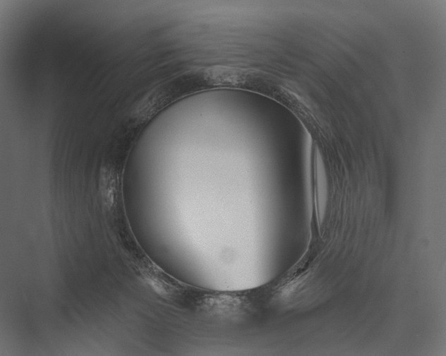 X0000076060125200610061546