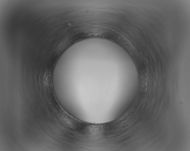 X0000076060126200610061546