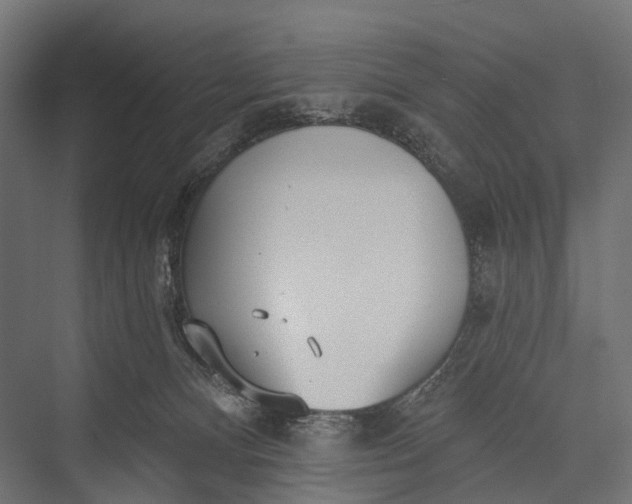 X0000076060128200610061546