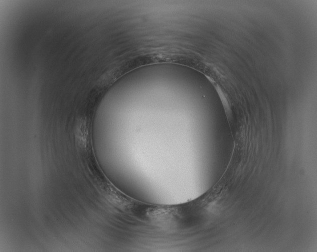 X0000076060129200610061546