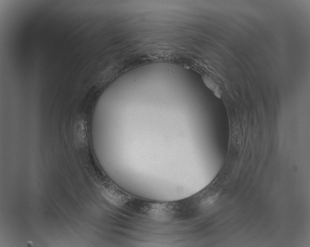 X0000076060130200610061546