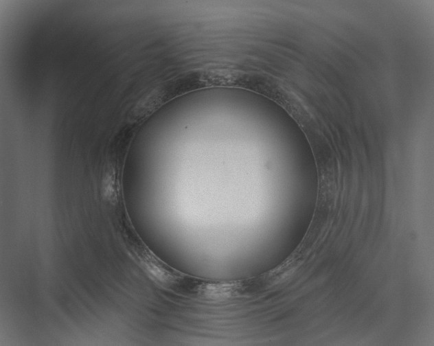 X0000076060134200610061546