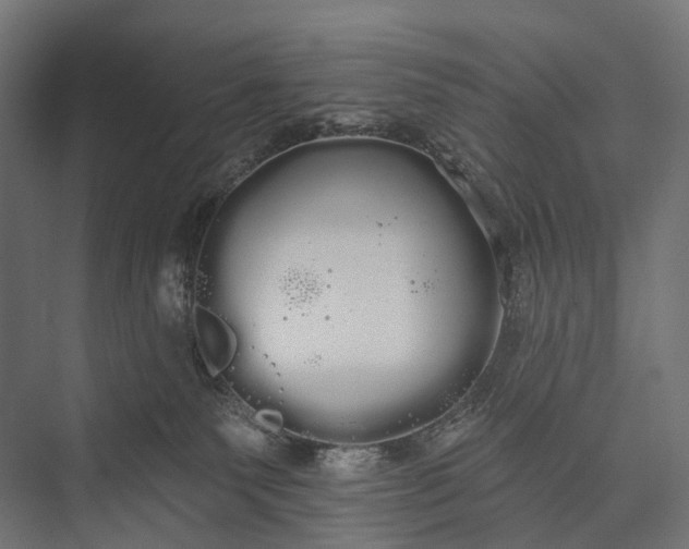 X0000076060135200610061546