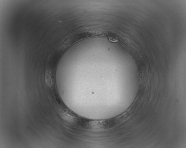 X0000076060136200610061546