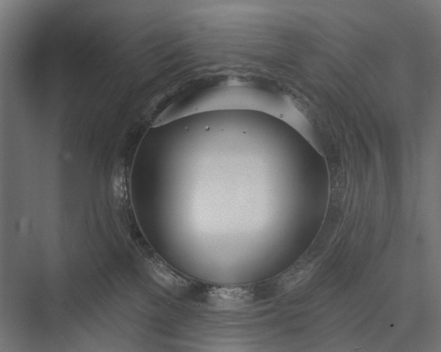 X0000076060137200610061546