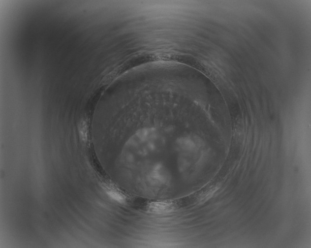 X0000076060139200610061546