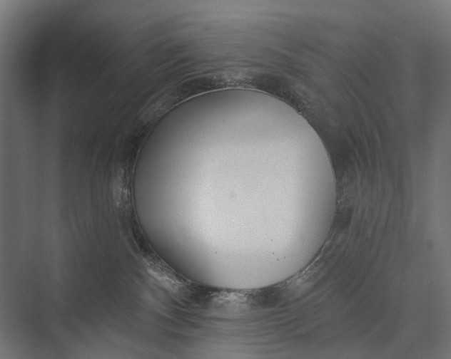 X0000076060140200610061546