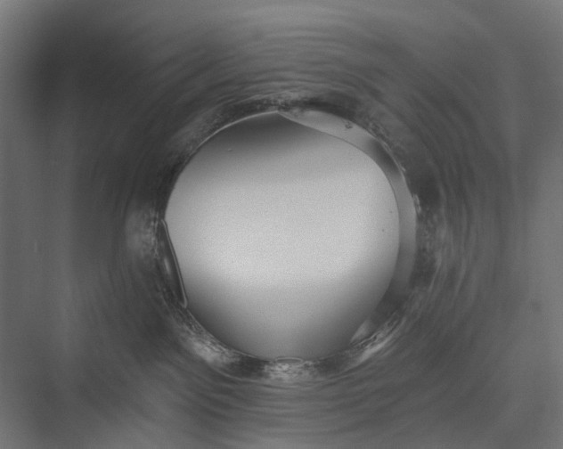 X0000076060141200610061546