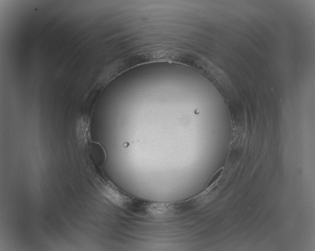 X0000076060142200610061546