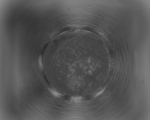 X0000076060143200610061546