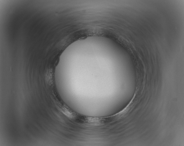 X0000076060144200610061546