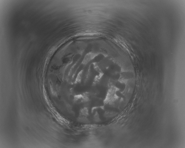 X0000076060145200610061545