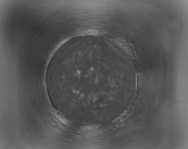 X0000076060147200610061545