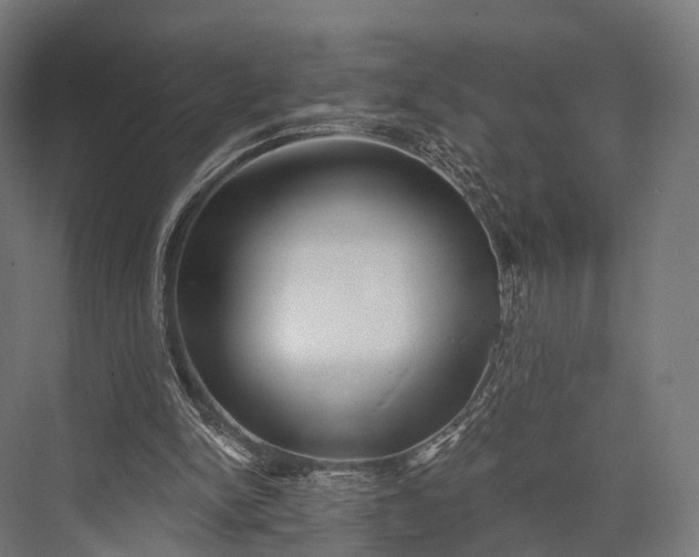 X0000076060150200610061545