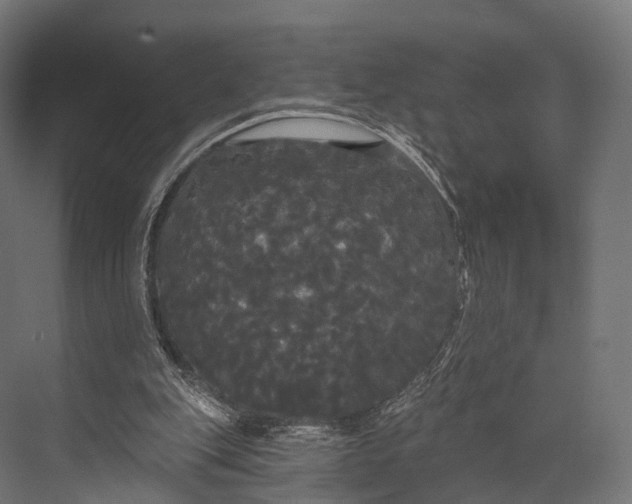 X0000076060151200610061545