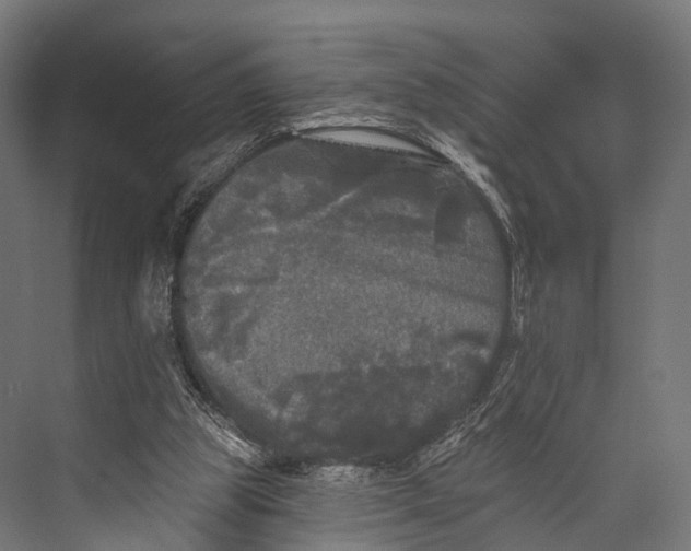 X0000076060153200610061545