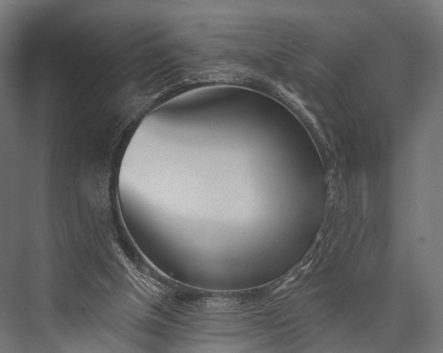 X0000076060154200610061545