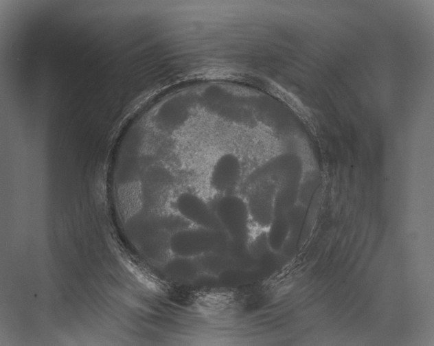 X0000076060155200610061545