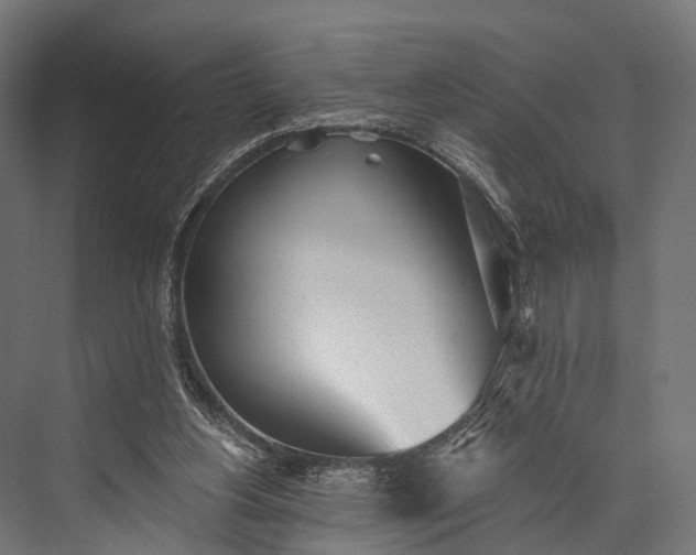 X0000076060156200610061545