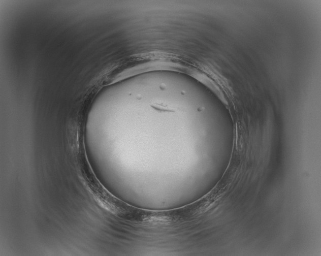 X0000076060157200610061545